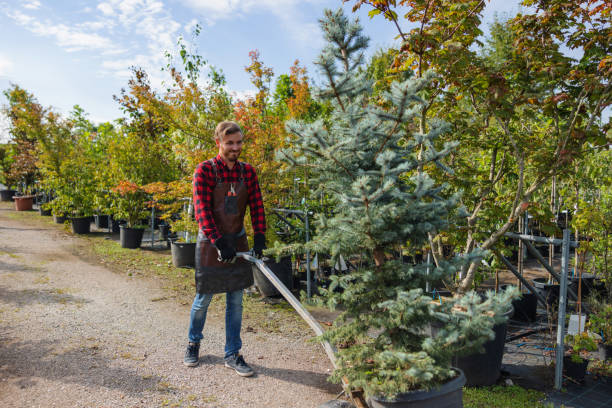 Best Commercial Tree Services  in Zumbrota, MN
